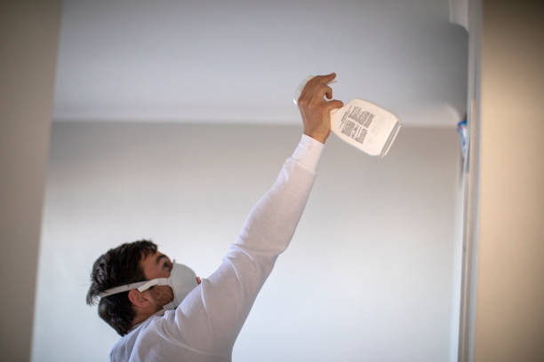 Best Mold Removal Company Near Me  in Ravenna, OH