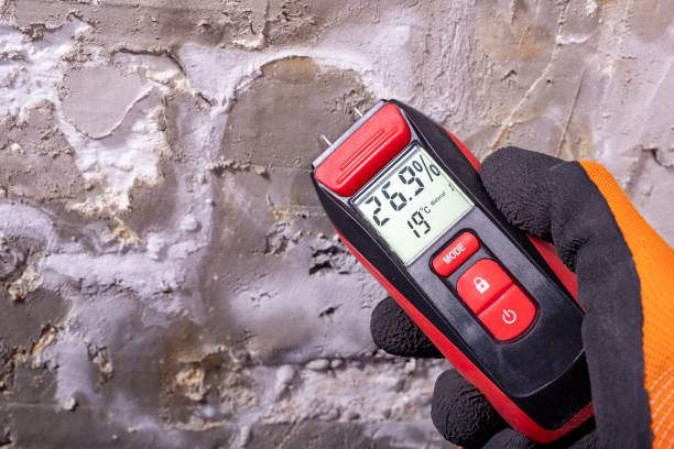 Best Home Mold Removal  in Ravenna, OH